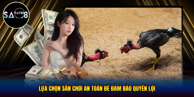 Lựa chọn sân chơi an toàn để đảm bảo quyền lợi